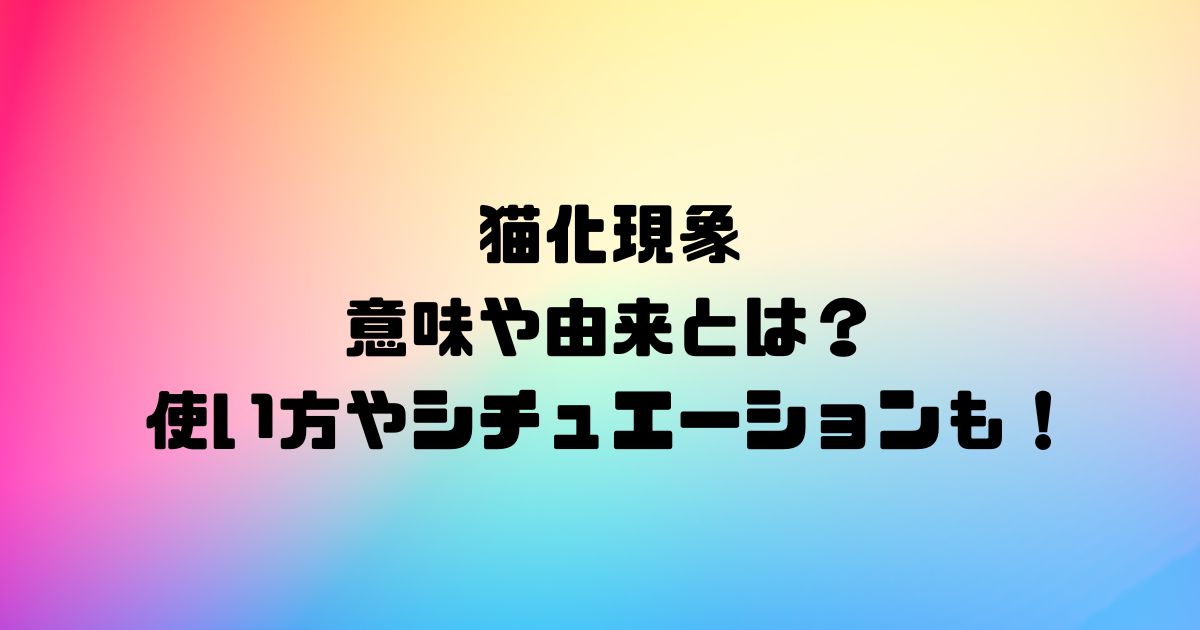 猫化現象の意味や由来とは？使い方やシチュエーションも！