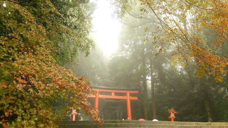 鹿児島県の恋愛運アップのおすすめ神社3選！神社以外のパワースポットも！